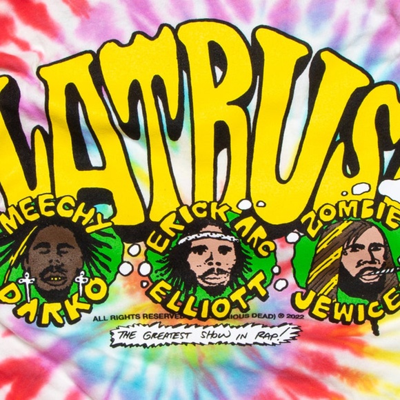 OFFICIAL FLATBUSH ZOMBIE MERCH XL TEE - Picture 5 of 5